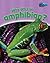 Why am I an Amphibian? (Classifying Animals) by Greg Pyers (2006-09-15)