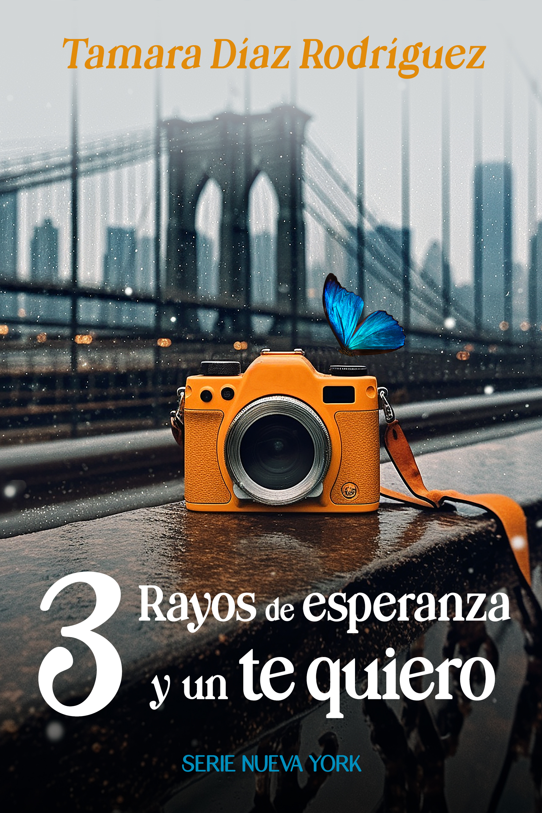3 rayos de esperanza y un te quiero (Serie Nueva York nº1)