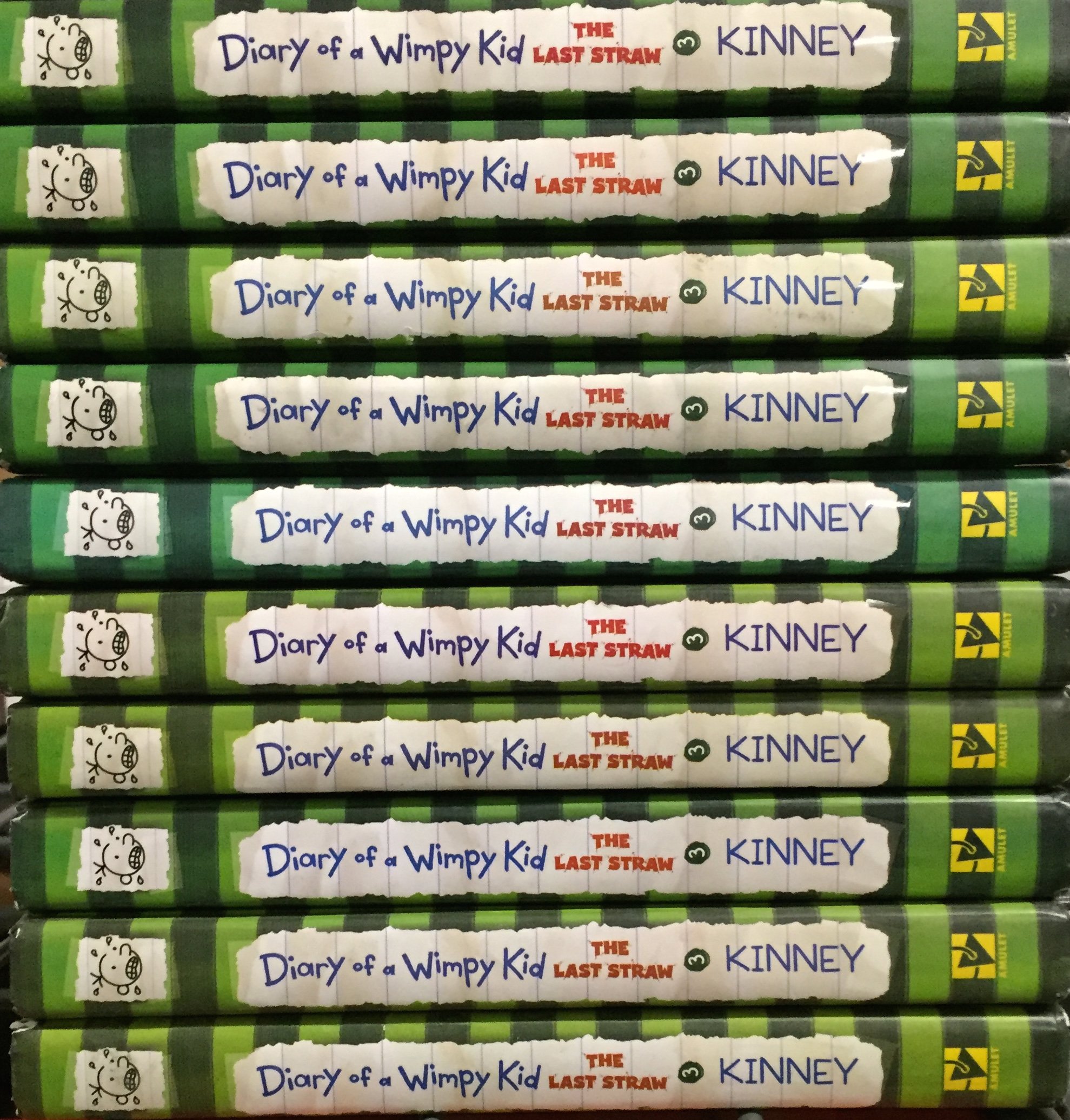 Class Set of 10 Copies of Diary of a Wimpy Kid The Last Straw (book 3) by Jeff Kinney