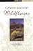 Canyon Country Wildflowers:...