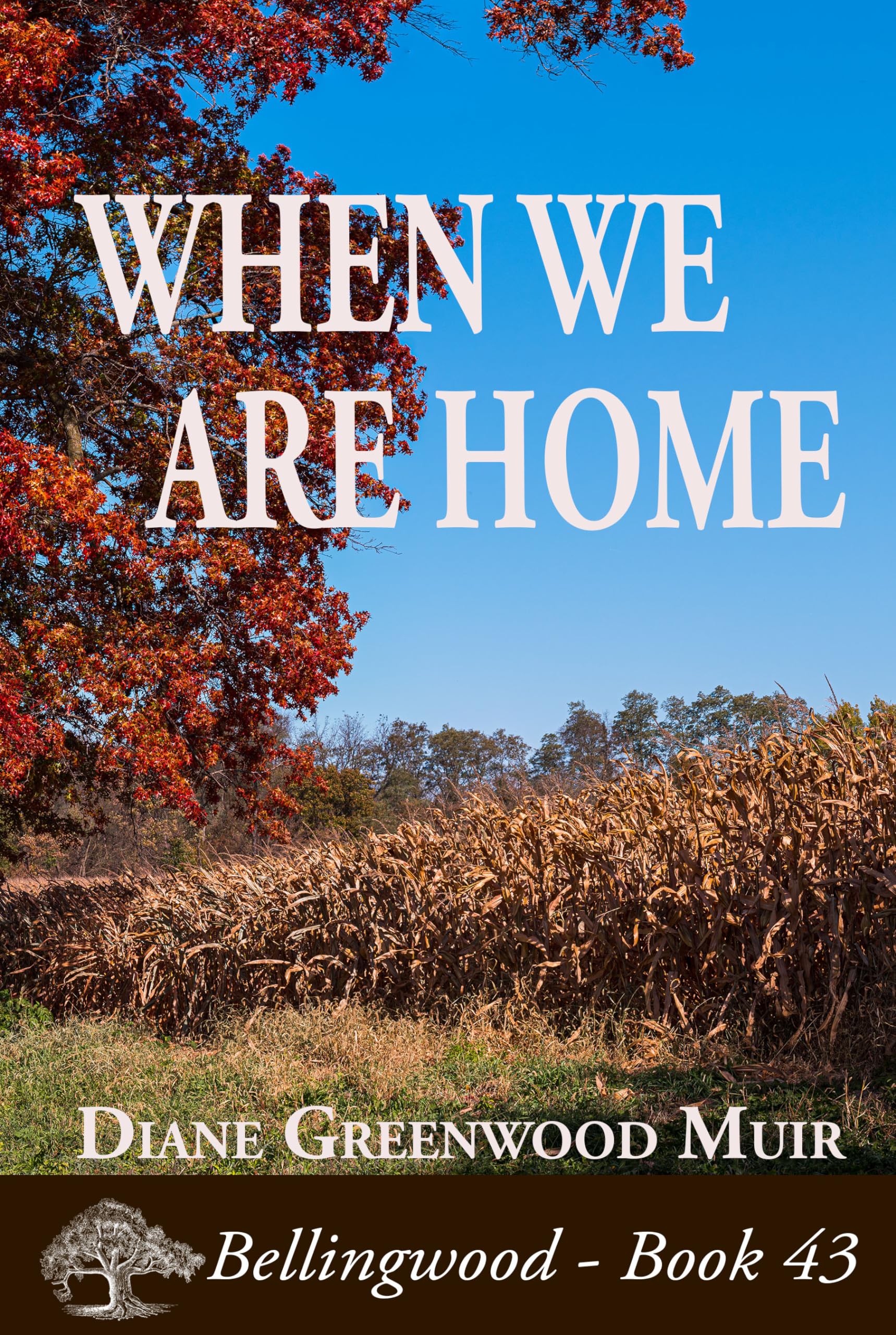 When We Are Home (Bellingwood Book 43)