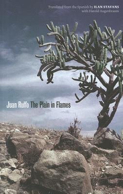 The Plain in Flames[PLAIN IN FLAMES][Paperback]