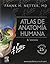 Atlas de anatomia humana + StudentConsult (Spanish Edition) b... by F.H. Netter