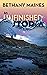 An Unfinished Storm (San Juan Islands Murder Mysteries Book 4)