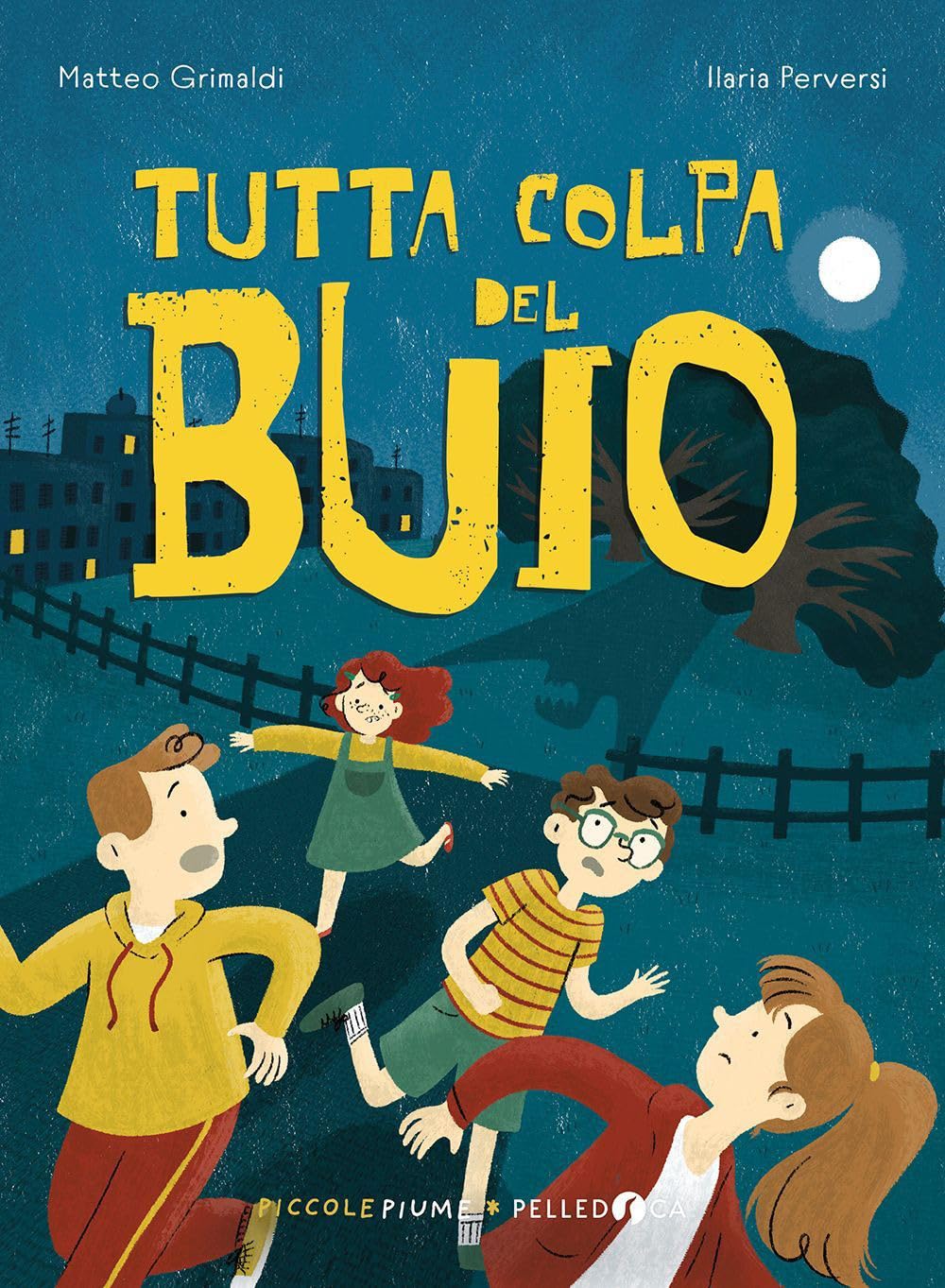 Tutta colpa del buio (Paperback)