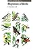 Migration of Birds (CIRCULA...