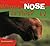Whose Nose Is This? (Whose.? Animal) by Wayne Lynch (2010-01-01)