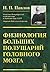 Физиология больших полушарий головного мозга