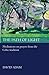 The Path of Light: Meditations on Prayers from the Celtic Tradition by Revd David Adam (17-Sep-2009) Paperback
