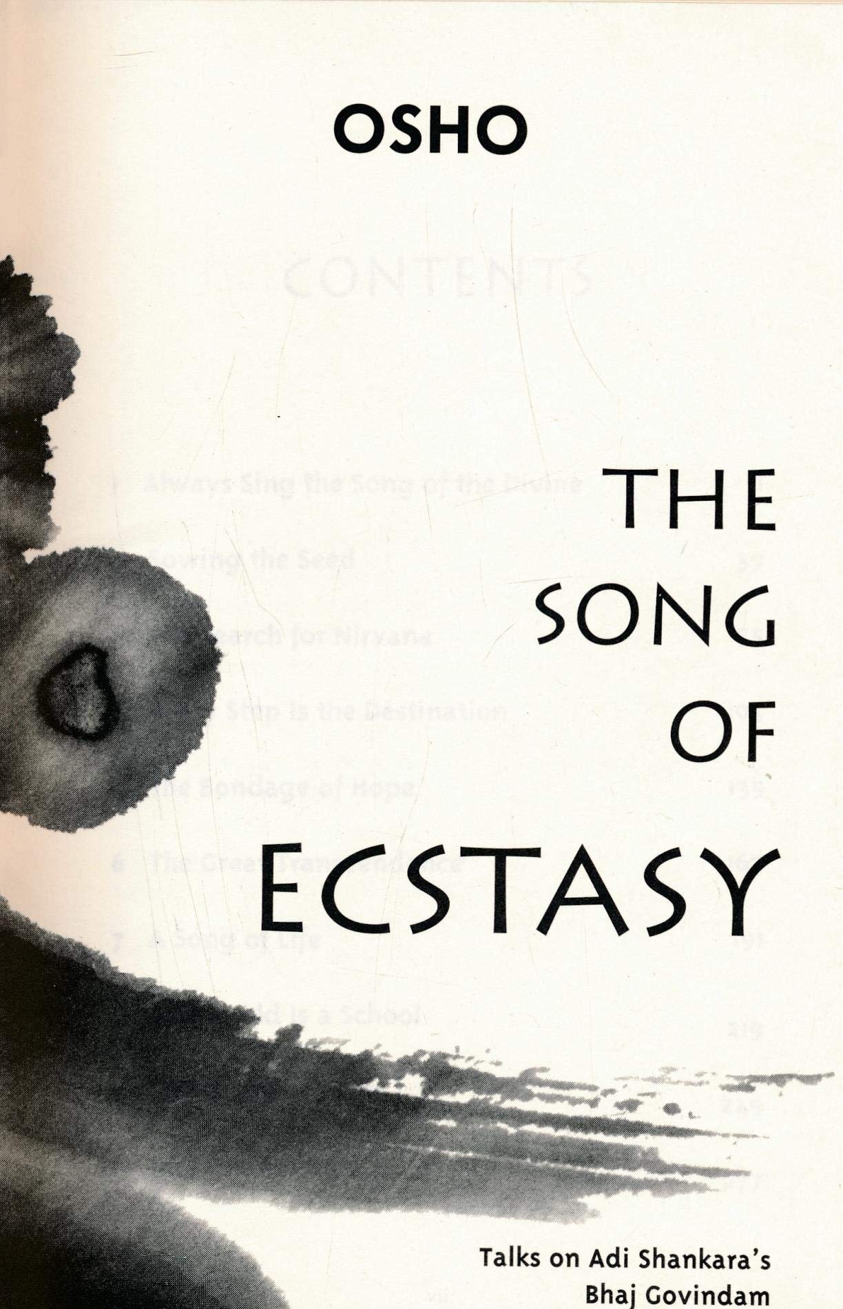 The Song of Ecstasy: Talks on Adi Shankara's Bhaj Govindam (English and Hindi Edition)