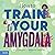 How to Train Your Amygdala