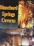 The Blanchard Springs Caver...
