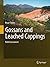 Gossans and Leached Cappings: Field Assessment by Roger Taylor (2011-11-17)