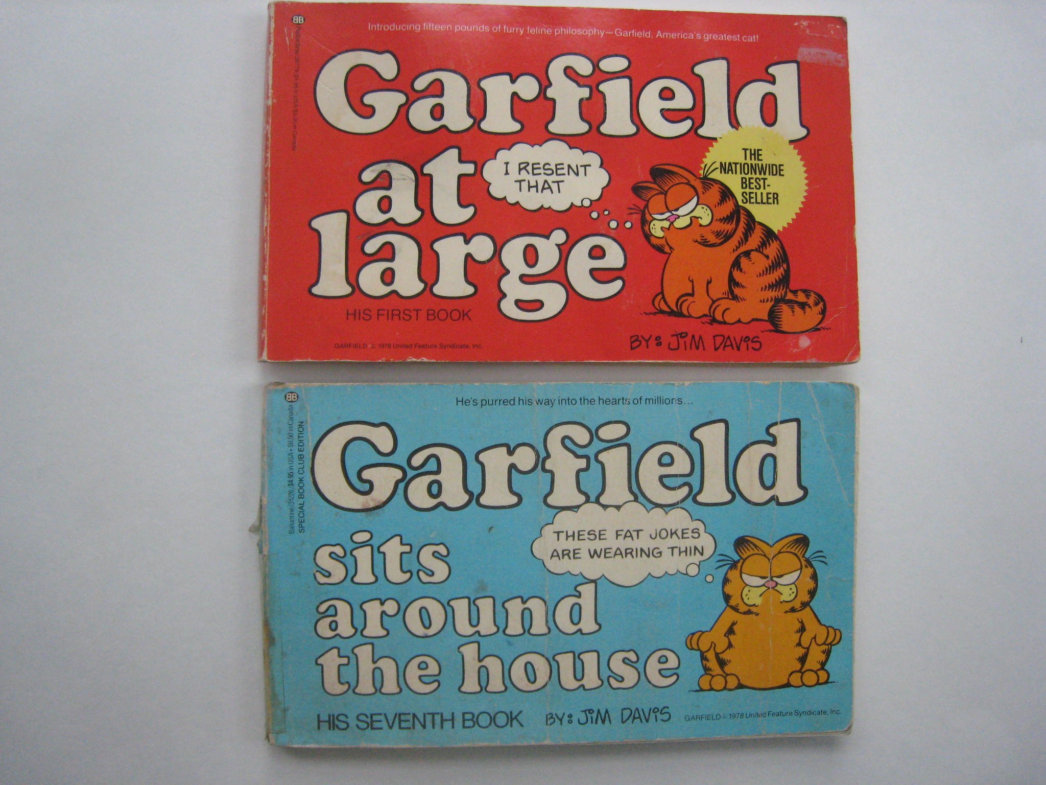 Garfield at Large
