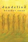 dandelion by Heather Swan