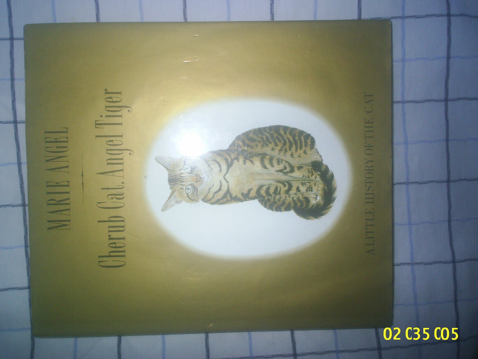 Cherub Cat, Angel Tiger: A Little History of the Cat (Hardcover)