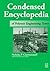 Condensed Encyclopedia of Polymer Engineering Terms by Nicholas P Cheremisinoff Consulting Engineer (2001-04-17)