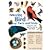 Amazing Bird Facts and Triv...