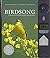 Birdsong by Jonathan Elphic...