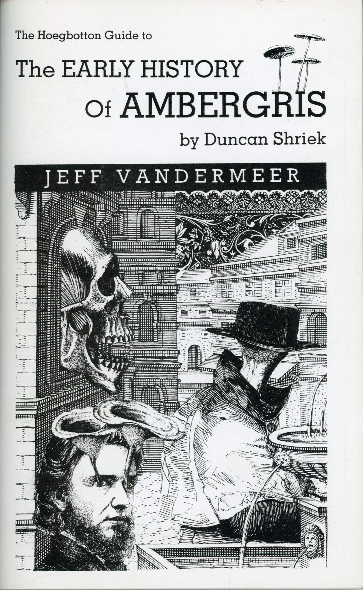 The Hoegbotton Guide to the Early History of Ambergris By Duncan Shriek (Paperback)