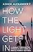 How the Light Gets In by Ashok Alexander