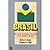 Brasil, uma nova potência regional na economia-mundo (Coleção Geografia) (Portuguese Edition)