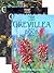 The Grevillea Book - 3 volume set