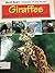 Giraffes and Other Hoofed Mammals (World Book's Animals of the World)