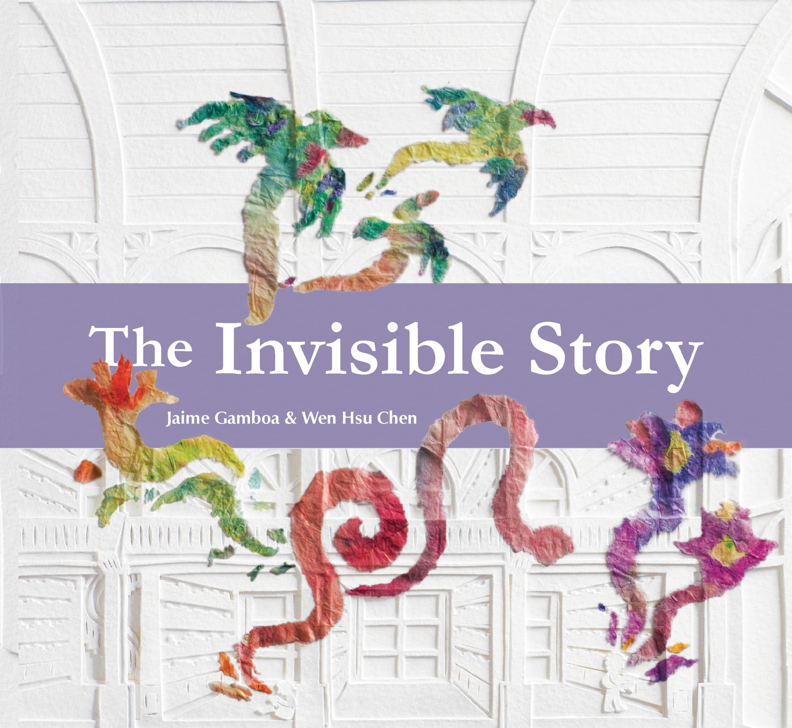 The Invisible Story (Hardcover)