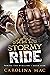 Stormy Ride (Taming the Sta...