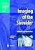 Imaging of the Shoulder: Techniques and Applications (Medical Radiology) (2003-12-05)