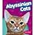 Abyssinian Cats
