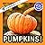 Pumpkins!  by Hope Aicher