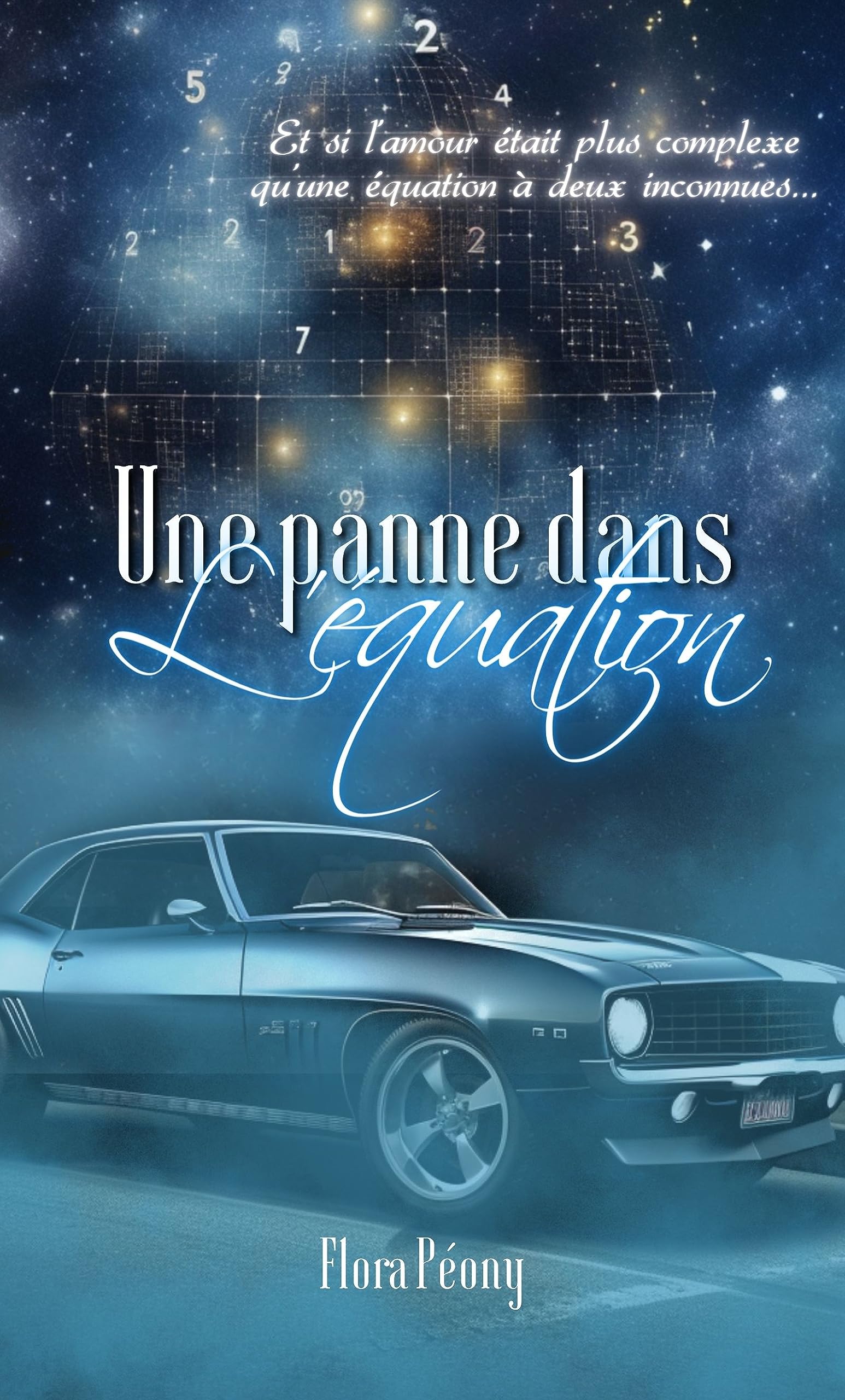 Une Panne dans l'Équation: Et si l'amour était plus complexe qu'une équation à deux inconnues (Kindle Edition)