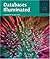 Databases Illuminated (Jones and Bartlett Illuminated) by Catherine M. Ricardo (2004-04-03)