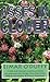 Asses in Clover by Eimar O'Duffy (2003-07-24)