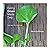 Eating Green Made Easy