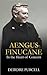 Aengus Finucane: In the Heart of Concern by Deirdre Purcell (2015-09-14)