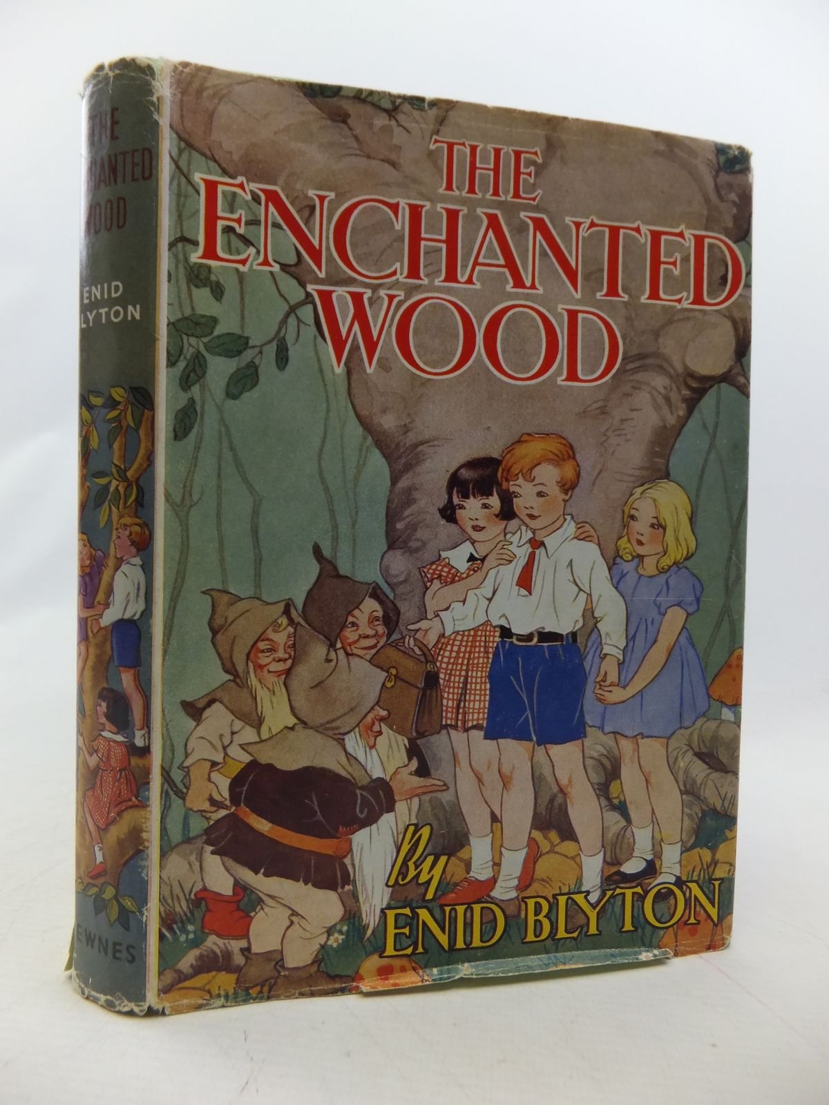 The Enchanted Wood
