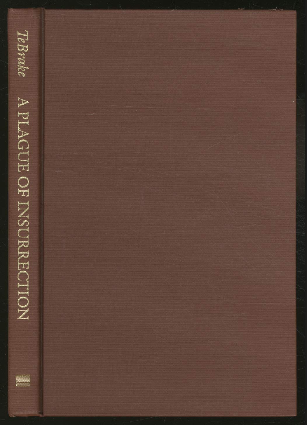 A Plague of Insurrection: Popular Politics and Peasant Revolt in Flanders, 1323-1328 (The Middle Ages Series)