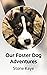 Our Foster Dog Adventures