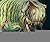 DINOSAUR [Hardcover] [2009] (Author) Stephanie Stansbie