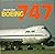 Boeing 747 by Hiroshi Seo