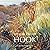 William Cather Hook: A Retrospective by Susan Hallsten McGarry (30-Sep-2014) Hardcover