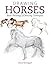Drawing Horses: Basic Drawing and Painting Techniques by Sanmiguel, David (May 13, 2015) Paperback