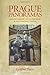 Prague Panoramas: National Memory and Sacred Space in the Twentieth Century (Pitt Russian East European) by Cynthia Paces (2009-09-27)
