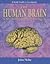 Human Brain, Study Guide (5...