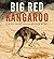 Big Red Kangaroo (Nature Storybooks) by Claire Saxby (2015-01-06)