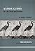 Animal Guides: In Life, Myth and Dreams (Studies in Jungian Psychology) by Neil Russack (2002-04-25)