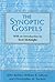 The Synoptic Gospels (Biblical Guides) by McKnight, Scot, etc. published by Continuum International Publishing Group Ltd. (2001)